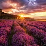 Фотокартини и пейзажна фотография от www.evgeniivanov.com
